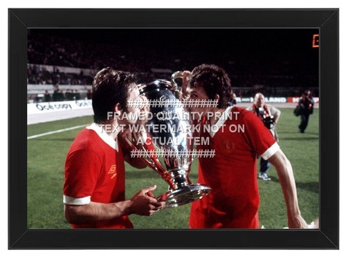 Gerahmtes europapokal 1977 - europapokal,